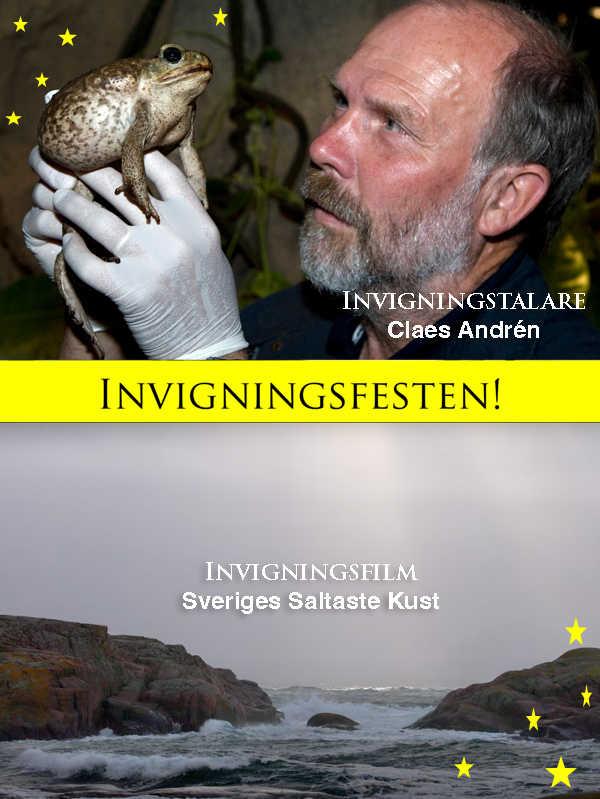 Invigningsfest med Claes Andrén & filmen Sveriges Saltaste Kust