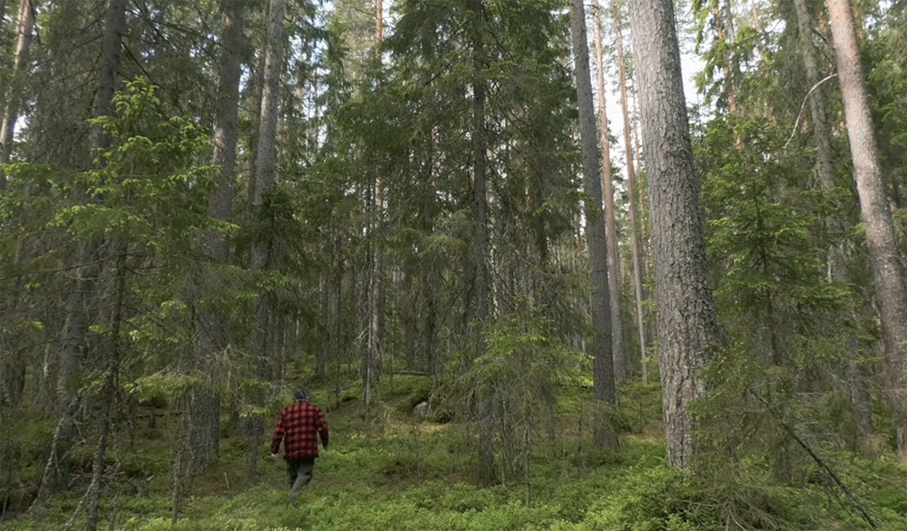 En man i röd jacka går i skogen